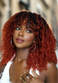 Rehob’elle 12 Inch Yanky Twist crochet hair